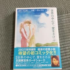 世界の中心で、愛をさけぶのサムネイル