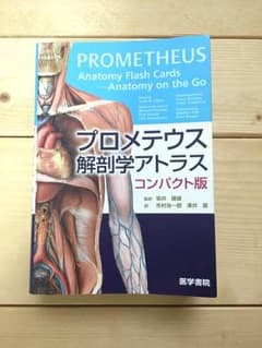 プロメテウス解剖学アトラスコンパクト版【美品】のサムネイル
