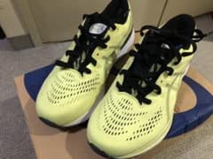 アシックスランニングシューズ　ゲルカヤノ28【注意❗️カスタム済み】28.5cmのサムネイル