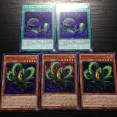プレデタープランター ドロソフィルムヒドラのサムネイル