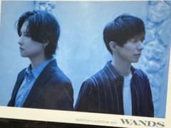 新品未使用　WANDS カレンダー2022のサムネイル