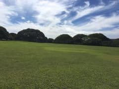 ひまわり様専用のサムネイル