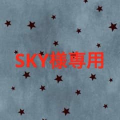 SKY様専用ですのサムネイル