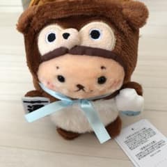 しろたん  くじ　たぬきたんのサムネイル