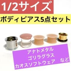 アナトメタル等、1/2サイズ　ボディピアス5点セットのサムネイル