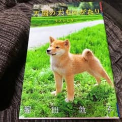 天国の犬ものがたり～ラストレター～/堀田 敦子のサムネイル
