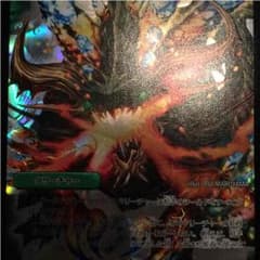 ワルドブラッキオ 美品！のサムネイル