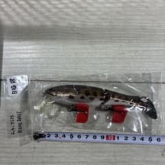 Lucky Craft Real Bait 整理番号BIG18 - メルカリ