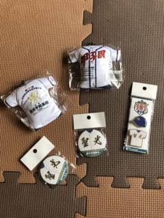 聖光学院  甲子園グッツのサムネイル