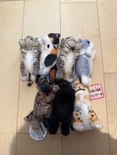 たっちぃzoo にゃんこのサムネイル