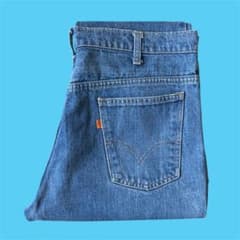 リーバイス 70s USA製 646 デニムパンツ W38 スコービル ジーンズ 
