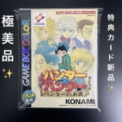極美品✨HUNTER×HUNTER ハンターの系譜 ゲームボーイカラー ソフト