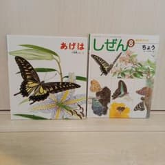 キンダーブック しぜん ちょう かがくのとも傑作集 あげは 絵本 蝶々