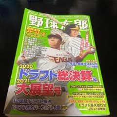 野球太郎 No.037 2020ドラフト総決算&2021大展望号のサムネイル