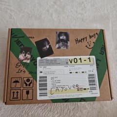 BTS V "LAYOVER"のサムネイル