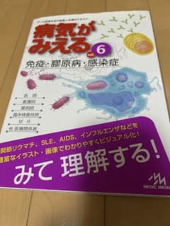 病気がみえる vol.6 (免疫・膠原病・感染症)のサムネイル