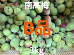 南高梅　B品 3kgのサムネイル