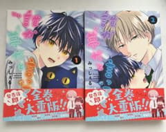 誰か夢だと言ってくれ 1巻 2巻 セット みっしぇるのサムネイル
