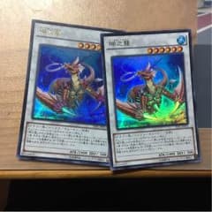 コーラル・ドラゴンのサムネイル