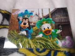 ミニーオーミニー  スペシャルフォトのサムネイル