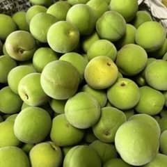 青梅 5kgのサムネイル