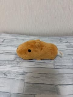 카피바라씨 봉제인형
