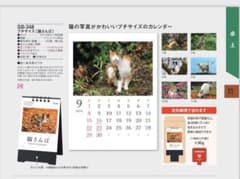 卓上カレンダー2024 猫さんぽ プチサイズのサムネイル