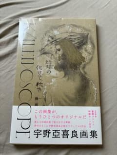 【未開封・帯付き】宇野亞喜良 画集 QUINOSCOPE 特製カード付のサムネイル