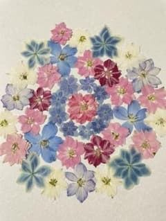 押し花 素材　①のサムネイル