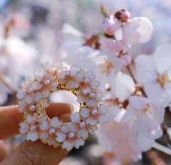 2点セット ハンドメイド 桜モチーフ ブローチ コサージュ イヤリングのサムネイル