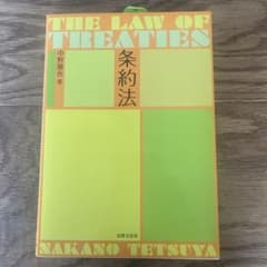 The Law of Treaties 条約法 中野哲也著のサムネイル