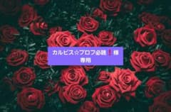カルピス☆プロフ必読❗️様 専用のサムネイル