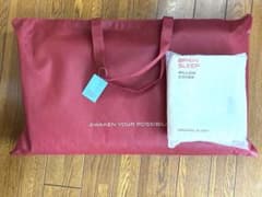 BRAIN SLEEP PILLOW 枕 カバー付きのサムネイル
