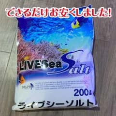m18587006301_1.jpg?1789137404
