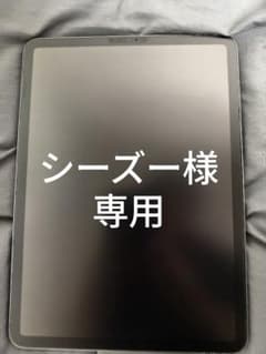 シーズー様専用】iPad Pro 11 2021(M1) 256GB ジャンク - メルカリ