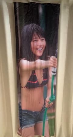 ※引越しのため3月30日まで販売！ 有村架純　抱き枕カバーのサムネイル
