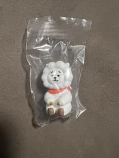 bt21 허그콧 RJ KOYA