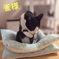 雀様専用です！のサムネイル