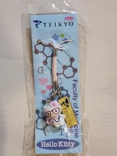 ハローキティ 帝京大学 医学部 ドクターキティ 非売品 ご当地キティ　激レア ハローキティ ご当地キティ 帝京大学 医学部 ドクター 非売品 希少品