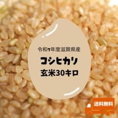 農家直送！令和7年度滋賀県産コシヒカリ玄米30kg 送料無料（一部地域