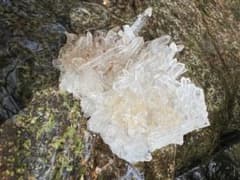 龍脈の精髄 宮崎県産水晶クラスター 針状結晶 保護猫支援 - メルカリ