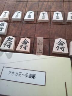 御将棋駒 アオカ王 歩表彫のサムネイル
