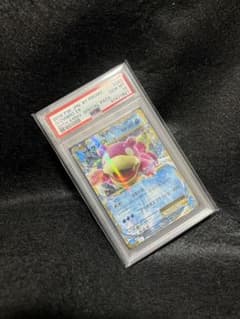 ポケモンカード XY リザードン フシギバナ カメックス 御三家 未使用