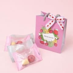 Mêlé de chocolat フルーツチョコレート ギフトバッグ