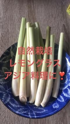 ⓵自然栽培　レモングラス700g九州産のサムネイル