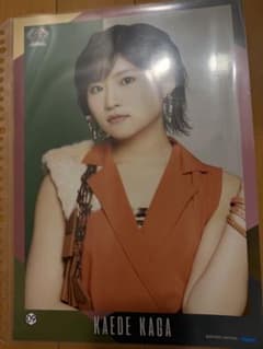 가가 카에데 핀포스