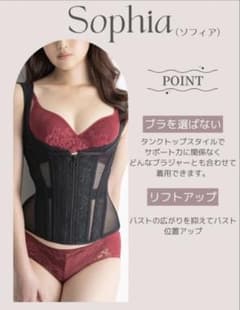 元鈴木さん　コルセット　ソフィア　Ｌ Enchanted Corset 元鈴木さん コルセット ソフィア Mサイズ - メルカリ