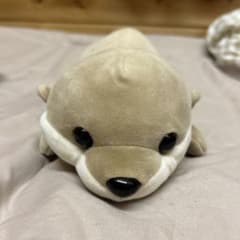カワウソ ぬいぐるみのサムネイル