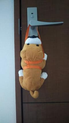 わんちゃん メガネケースのサムネイル