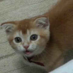 りんこ様 専用のサムネイル
